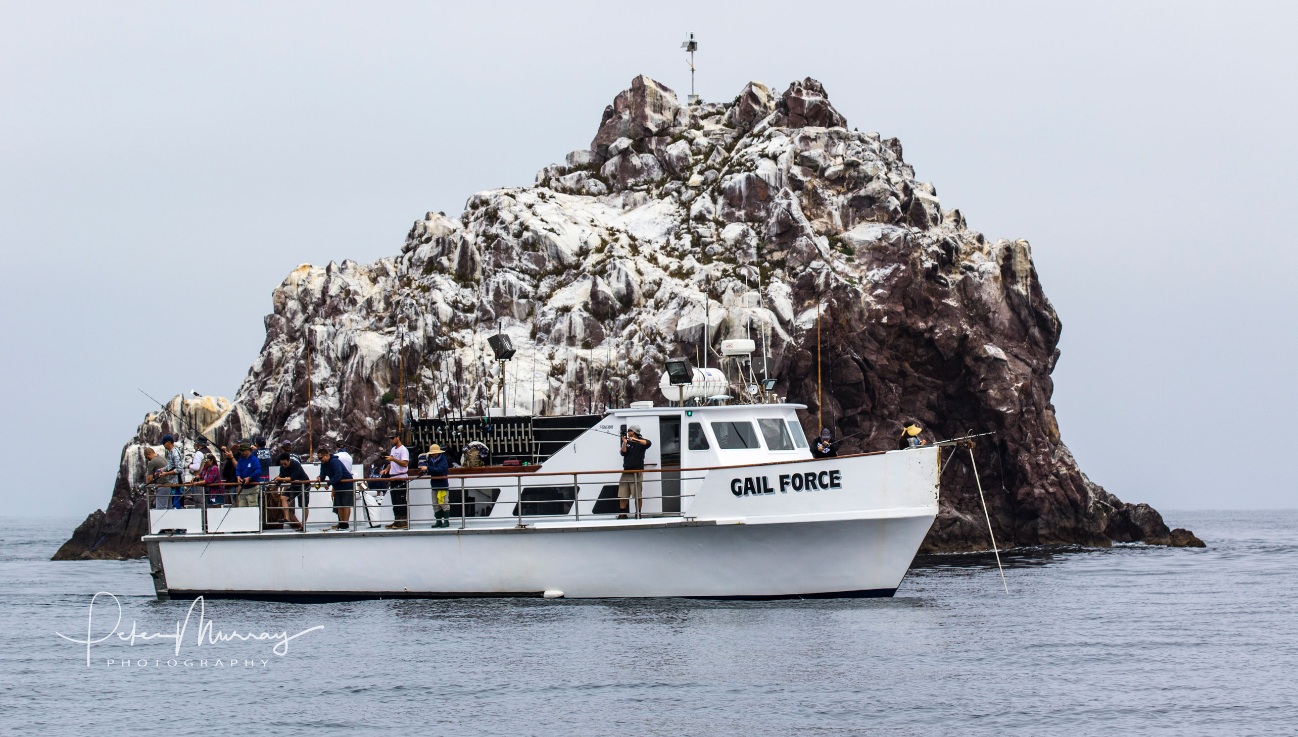 la waterfront sportfishing & cruises