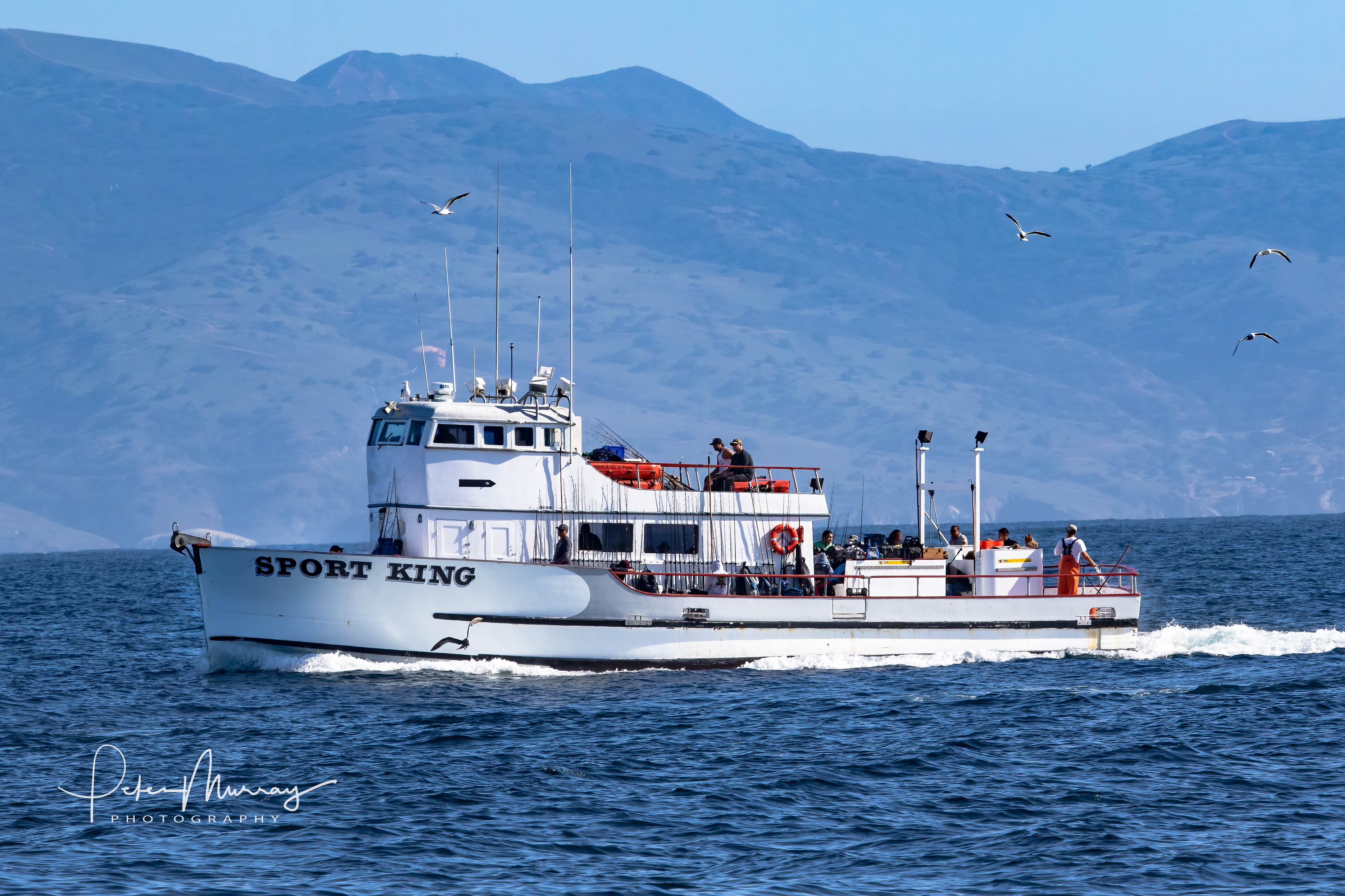 fishing trips from catalina island